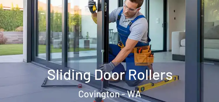  Sliding Door Rollers Covington - WA